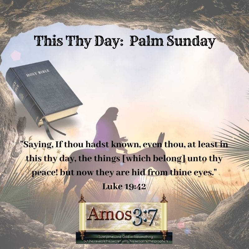 palm sunday, prophecy, daniel 9, luke 19, fulfilled,