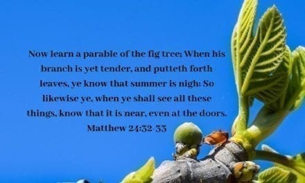 Parable of the Fig Tree