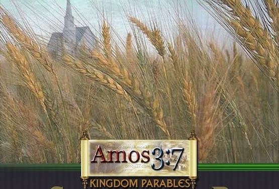 Kingdom Parables: The Parable of The Wheat and the Tares