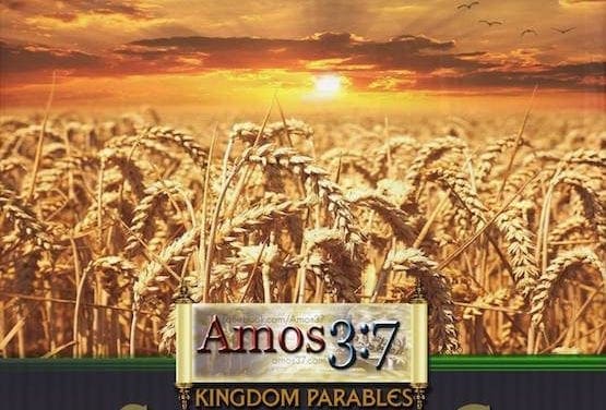 Kingdom Parables Series Index: Against Kingdom Now Theology