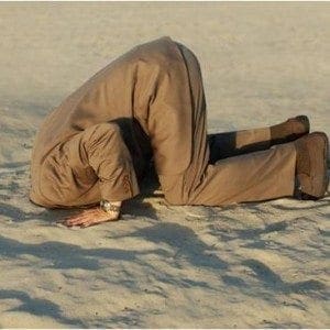 Dominionism Exposed: Infestations