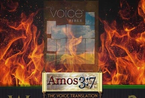 The Voice Translation: Whose Voice?