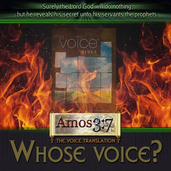 The Voice Translation: Whose Voice?