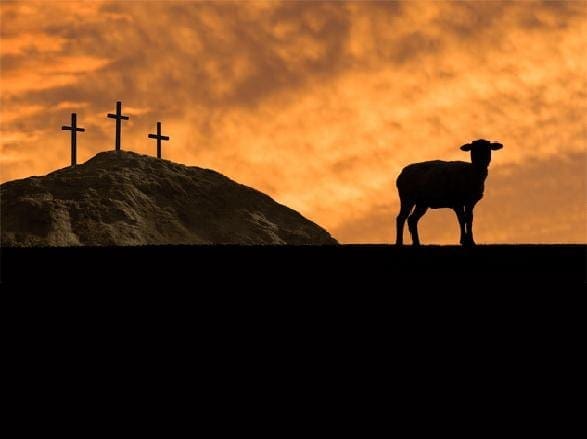 Basics of Faith Session 03: The Substitutionary Death of Jesus