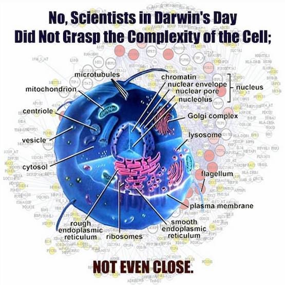 Creation Science, Complexity, Simple Cell,