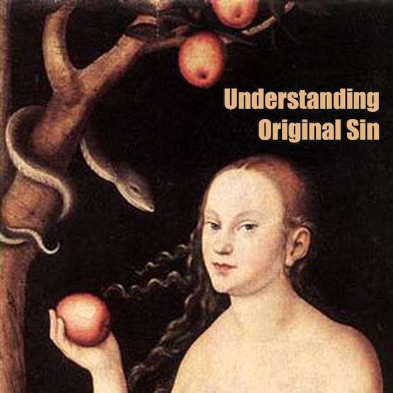 In The Beginning Discipleship Series: The Fig Leaf Conspiracy