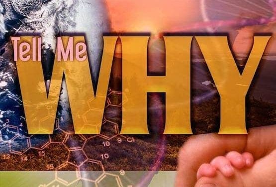 Scientism, Not Science, Drives Technocracy And Transhumanism