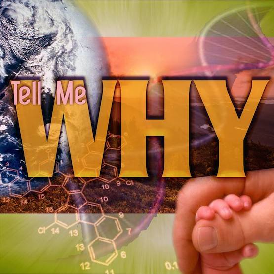 Scientism, Not Science, Drives Technocracy And Transhumanism