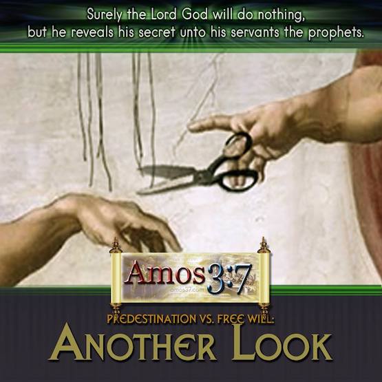 Predestination vs. Free Will: Another Look
