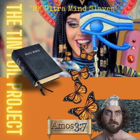 mind slaves, control, project monarch,