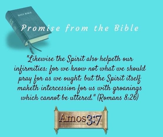 The Promise of the Holy Spirit Romans 8:26