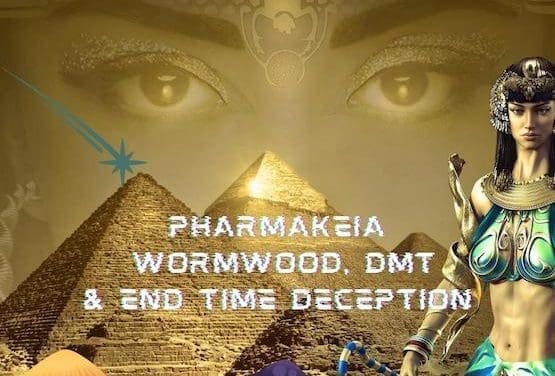 Drug Use in The End Times and Its Connection to Pharmakeia & Wormwood