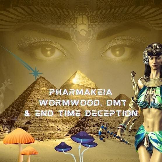 Drug Use in The End Times and Its Connection to Pharmakeia & Wormwood
