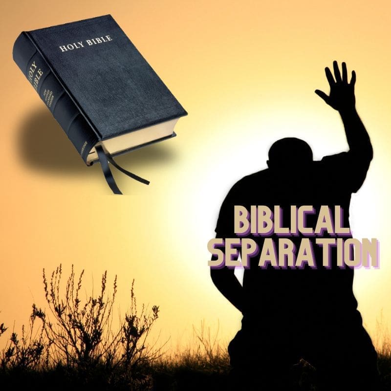 Biblical Separation Series - The Good Files (800 x 800 px) the good files,biblical separation series,how to live in the last days,