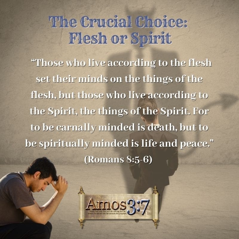 Romans 8, live according to the flesh, the flesh, live by the Spirit, Carnally Minded, life and peace,